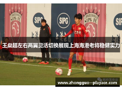 王燊超左右两翼灵活切换展现上海海港老将稳健实力 王燊超左右两翼灵活切换展现上海海港老将稳健实力